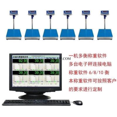 多路定时记录电子秤，定时记录称重电子秤，实验室记录称重电子秤 U盘记录功能电子秤 自动储存重量数据台秤 扫描计重台称