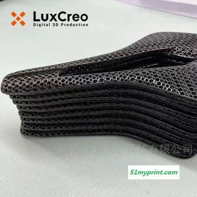 LuxCreo清锋科技 Lux 3Li+  Lux 3Li+打印机应用  鞍座