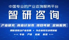 2022-2028年中国包装涂料行业市场供需形势分析及投资前景评估报告