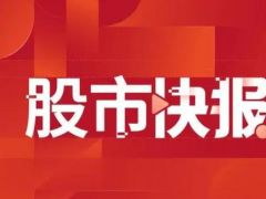 上海易连：公司印刷包装板块利润同比增加等，上半年净亏损同比收窄至570.18万元