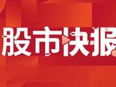 迈为股份：目前公司丝网印刷设备、激光设备适用于各类BC技术路线